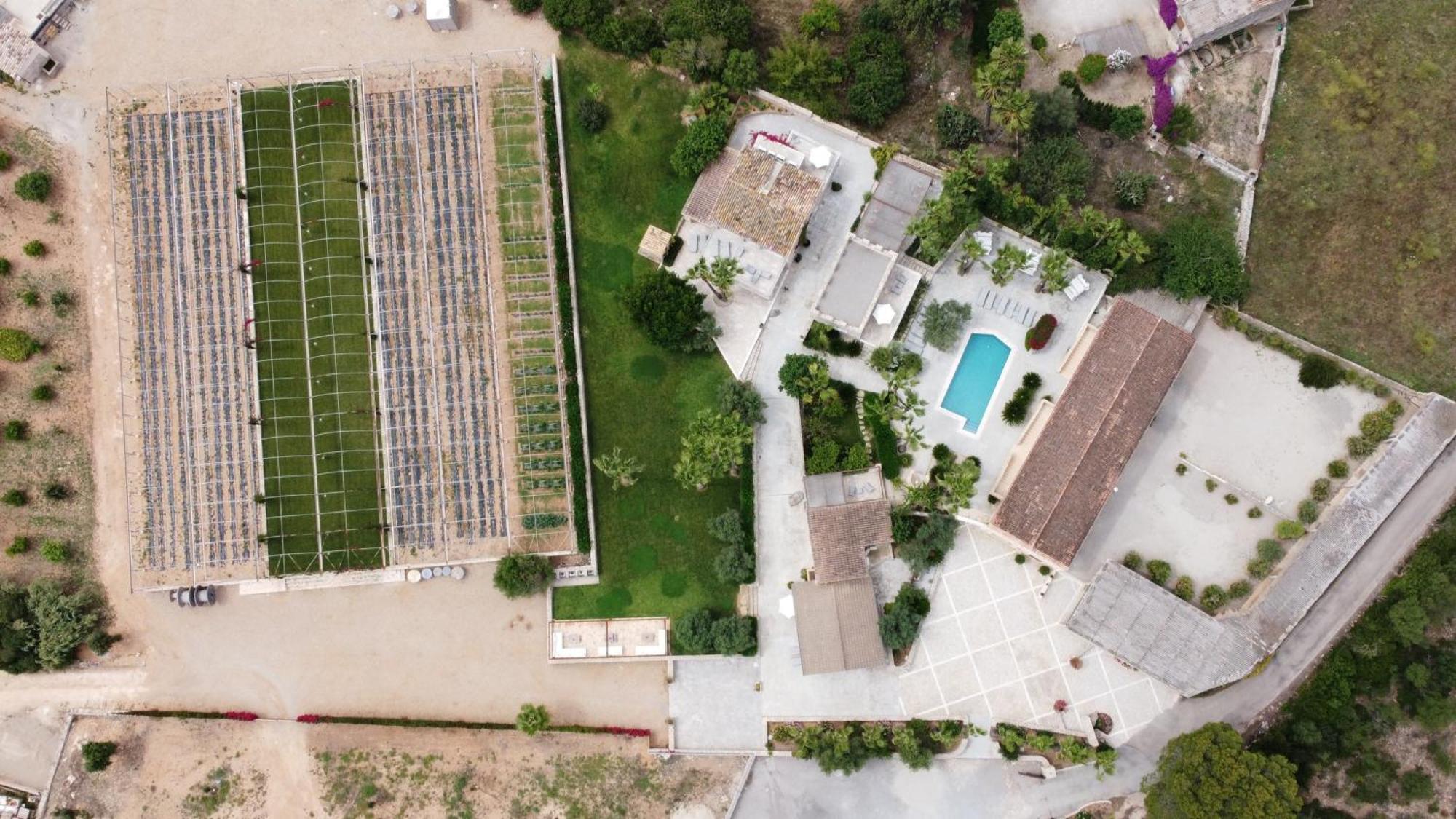 Sa Talaia Blanca Villa Muro Bagian luar foto