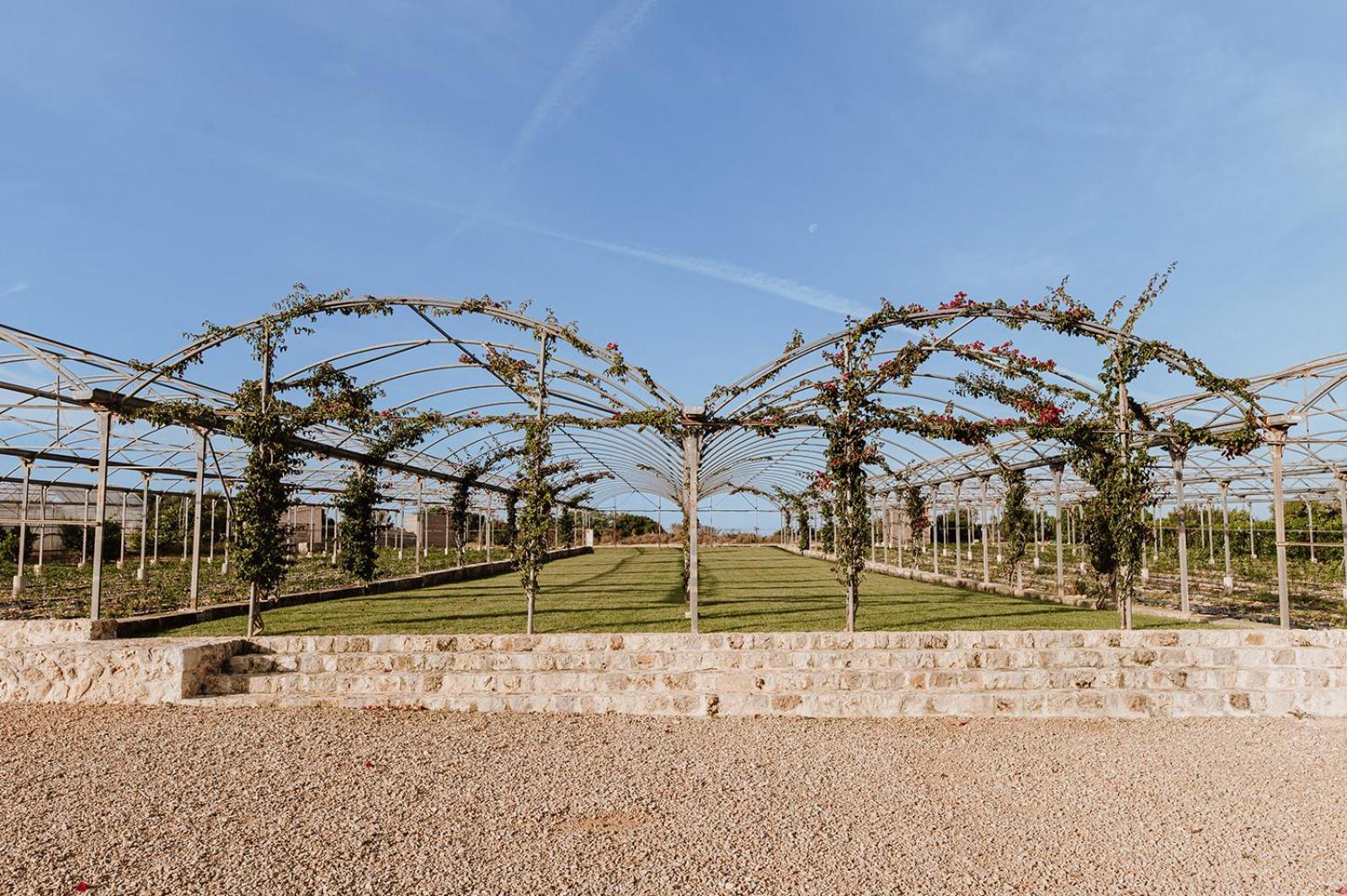 Sa Talaia Blanca Villa Muro Bagian luar foto